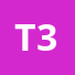 T3hvizZg